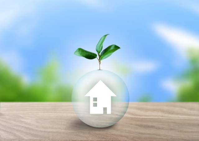 若葉と家の切り絵